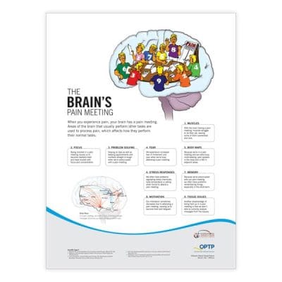 Pain Neuroscience Posters - Image 3