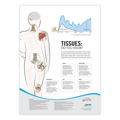 Pain Neuroscience Posters - Image 5