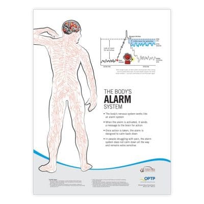 Pain Neuroscience Posters - Image 2