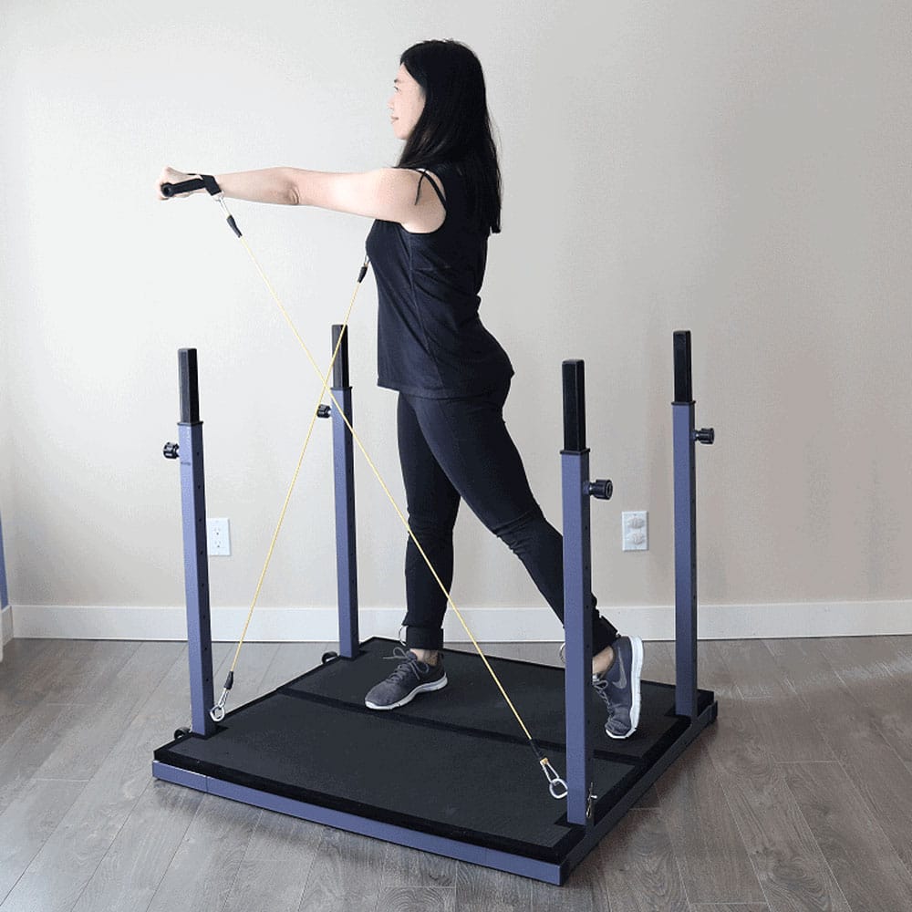 evolution home gym