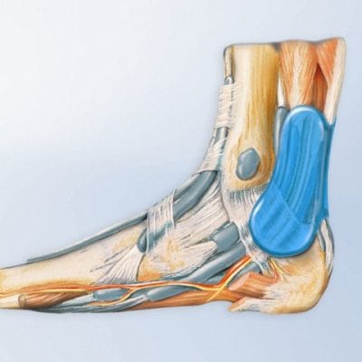 Bauerfeind AchilloTrain®- Left or Right - Image 6