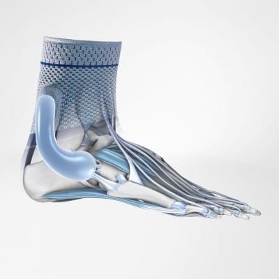 Bauerfeind MalleoTrain® Ankle Support - Image 2
