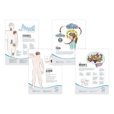 Pain Neuroscience Posters