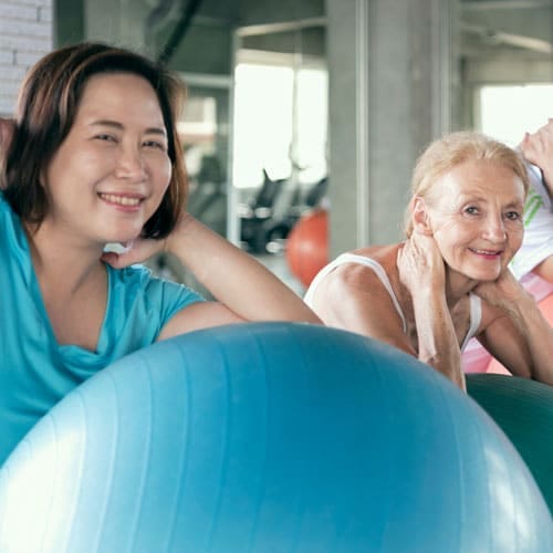 Exercise Balls