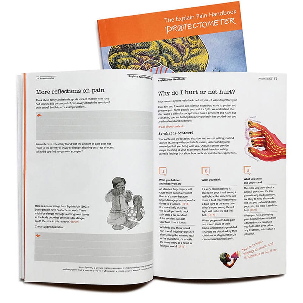 Explain Pain handbook David Butler