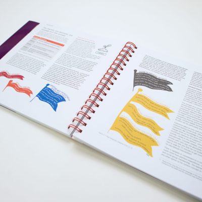 Explain Pain Supercharged book open to an inside page showing educational pain science content