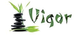 Vigor Acupuncture needles at The Physio Store