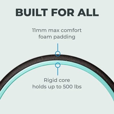 chirp wheel built for all holds up to 500 lbs