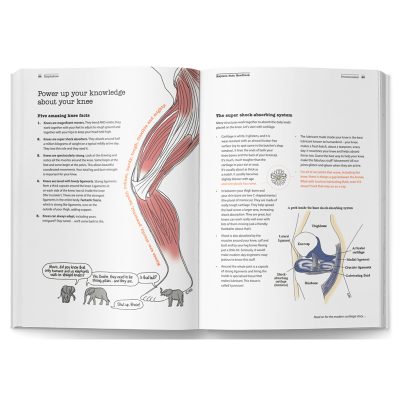 Open Knee Osteoarthritis Handbook showing illustrated knee OA education pages